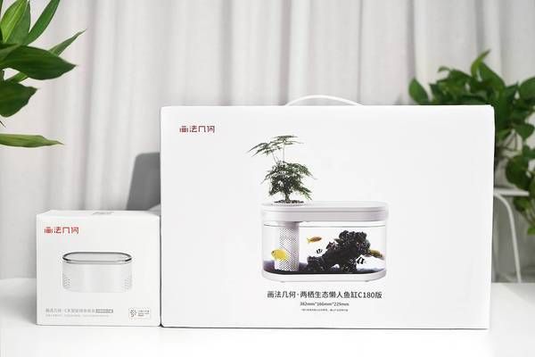 畫法幾何魚缸說明書：關于畫法幾何魚缸的說明書