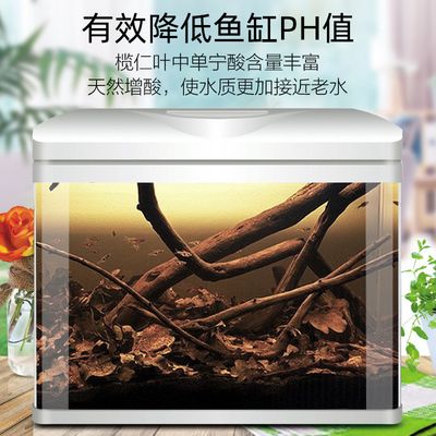 魚缸水質管理全攻略除了欖仁葉之外，魚缸水質管理攻略：欖仁葉在魚缸中的應用