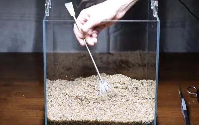 養小魚怎么布置魚缸最漂亮：養小魚的魚缸布置