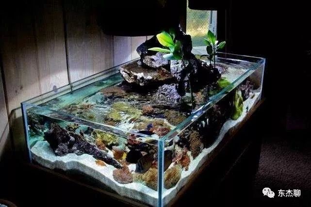 底濾魚缸防止溢流的方法包括以下幾個方面以下幾個方面：底濾魚缸如何防止溢流