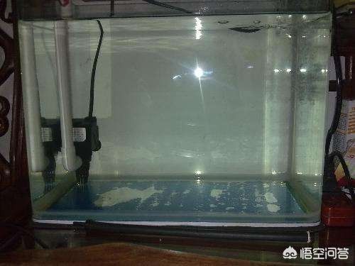 高錳酸鉀給魚缸消毒的用量應該根據魚缸消毒的用量：高錳酸鉀給魚缸消毒的具體用量