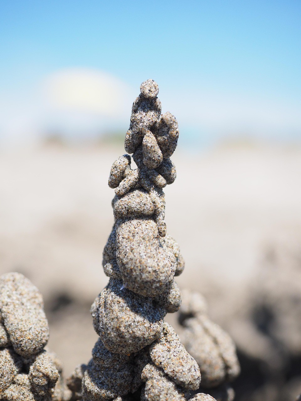 龍龜埋設(shè)后多久見(jiàn)效？