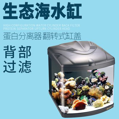 廣東博宇集團的潛力與挑戰：寵物用品市場的潛力與挑戰隨著寵物用品市場的潛力與挑戰