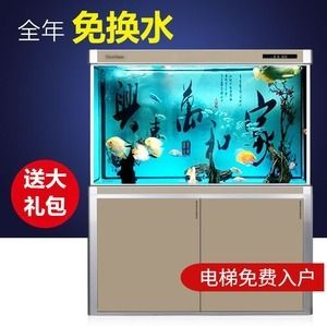 底濾魚缸是不是不適合做生態缸：底濾魚缸和生態缸底濾魚缸生態缸的優缺點和優缺點