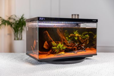 魚(yú)缸dh：dh魚(yú)缸價(jià)格對(duì)比分析dh魚(yú)缸價(jià)格對(duì)比