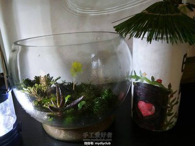 花盆改魚缸的藝術與技巧：花盆改造成魚缸的藝術與技巧
