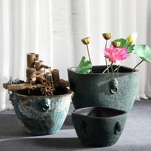 花盆改魚缸的藝術與技巧：花盆改造成魚缸的藝術與技巧