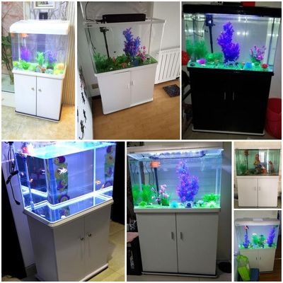 西龍魚缸售后服務電話：西龍魚缸售后服務