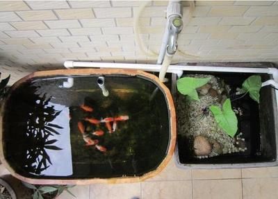 底濾魚缸滲水可能會導致水體流失，影響水質和魚類健康：如何處理底濾魚缸滲水問題