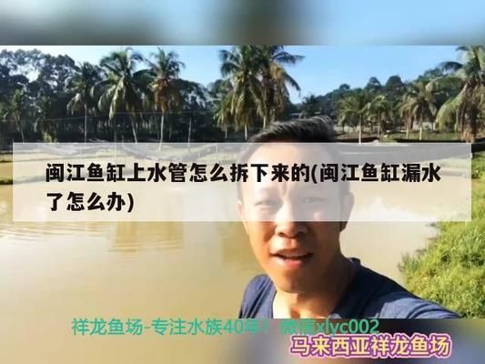 閩江魚缸水族箱:閩江魚缸/水族箱設計 魚缸百科 第4張 閩江魚缸水族箱:閩江魚缸/水族箱設計 閩江魚缸水族箱:閩江魚缸/水族箱設計 魚缸百科 第4張