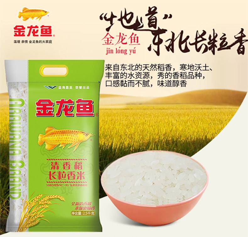 青縣少云花卉店（青縣少云花卉店電話）