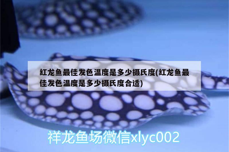 北京山湖草堂水族用品店