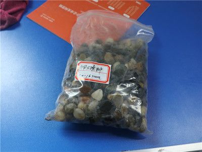 鄭州鞏義市水族用品市場分析：鞏義市寵物文化探秘鞏義市寵物文化探秘鞏義市寵物文化