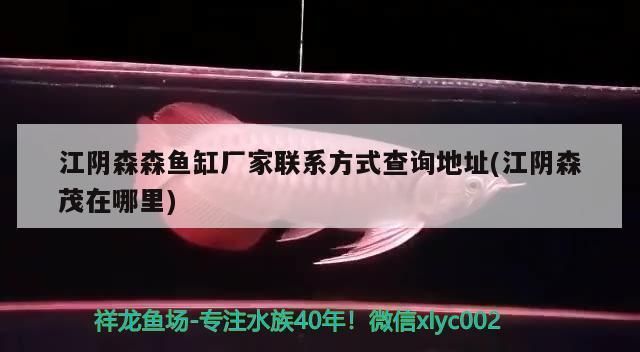 森森魚缸官網售后電話：如何正確使用森森魚缸產品,森森魚缸用戶評價匯總