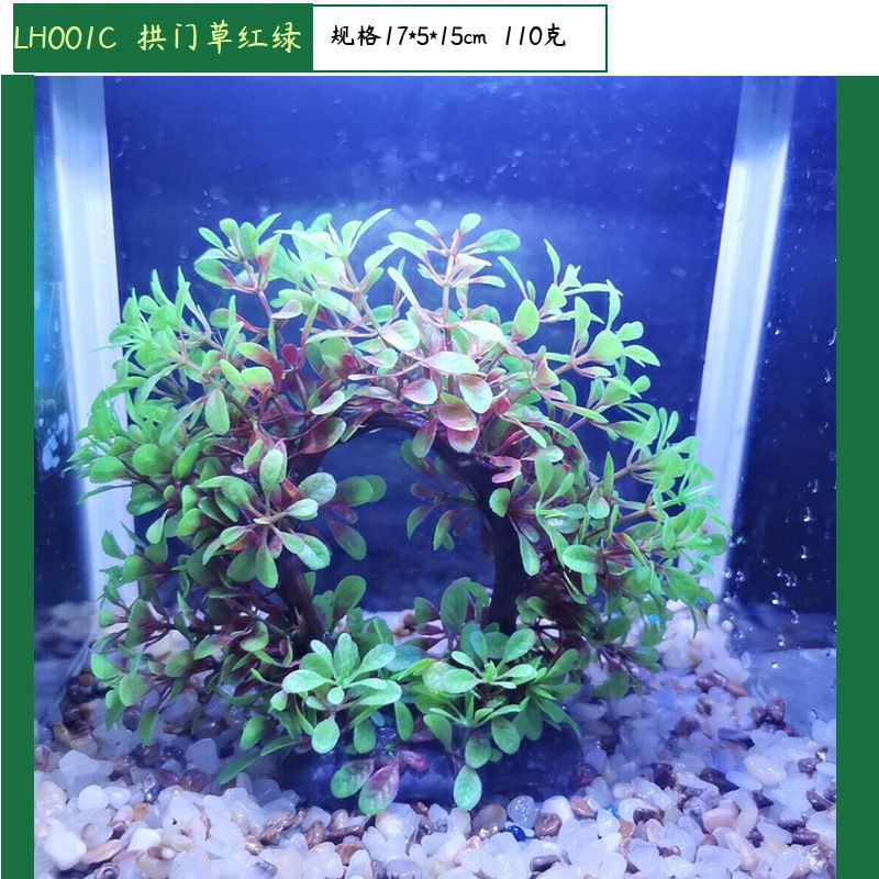 拱門魚缸造景的風格與技巧：拱門魚缸造景的技巧