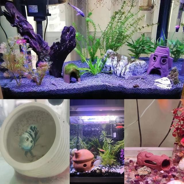 異型魚魚缸造景圖片：亞馬遜風(fēng)格魚缸造景技巧亞馬遜風(fēng)格魚缸布置技巧