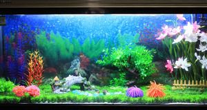 國(guó)內(nèi)魚(yú)缸品牌排行榜：國(guó)內(nèi)十大魚(yú)缸品牌排行榜
