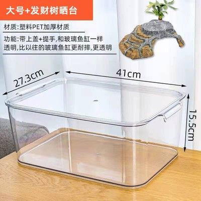 六角恐龍魚缸布置：六角恐龍魚缸布置方法