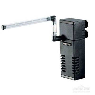 魚缸水質管理的其他要點：如何管理魚缸水質