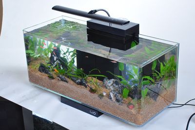 萊易歐魚缸是正規還是仿：萊易歐魚缸與競品對比分析萊易歐魚缸價格區間查詢