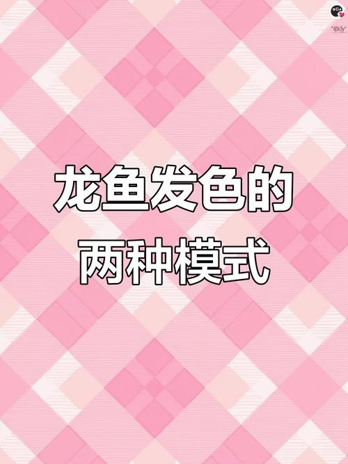 紅龍魚多少錢會發色 紅龍魚多少錢會發色 龍魚百科 第7張