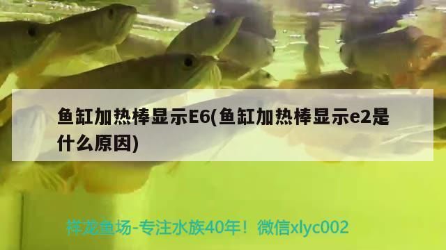 魚缸加熱錯誤代碼e2：魚缸加熱器e2故障如何處理
