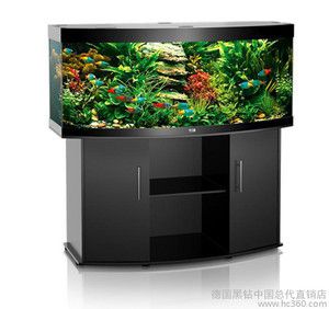 黑鉆魚缸的市場趨勢及養護方法：德國黑鉆魚缸價格較高，主要有以下幾個原因