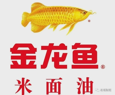 雷龍魚 魚缸（雷龍魚魚缸造景技巧）
