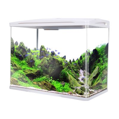 魚缸哪個牌子好？：最新魚缸品牌推薦