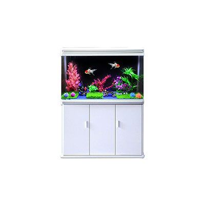 魚缸哪個牌子好？：最新魚缸品牌推薦