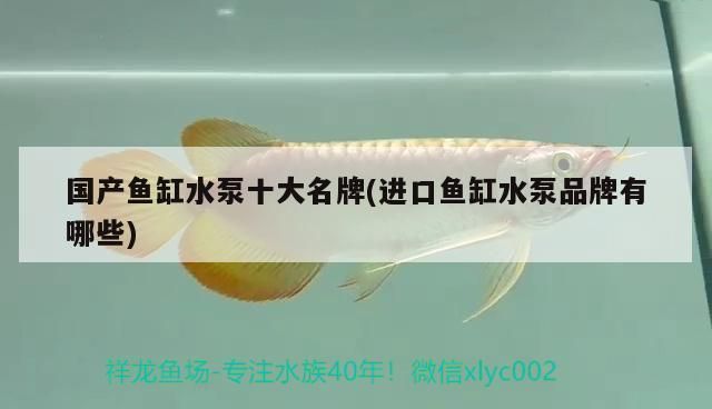 魚缸水泵品牌推薦：松寶品牌用戶評價魚缸水泵品牌森森水泵耐用性評測