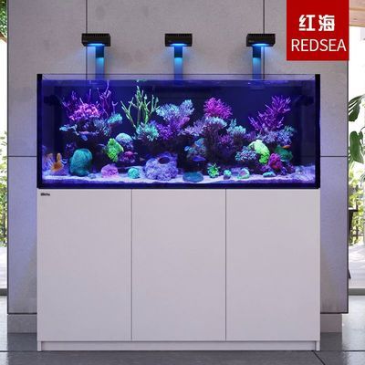 彩蝶魚缸新款怎么樣啊（彩蝶魚缸新款在質量和設計方面都得到了廣泛認可）