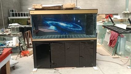 彩蝶魚缸新款怎么樣啊（彩蝶魚缸新款在質量和設計方面都得到了廣泛認可）