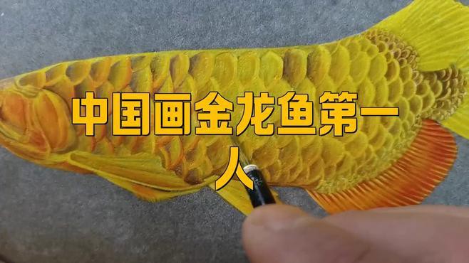 有沒(méi)有更多金龍魚(yú)動(dòng)態(tài)壁紙推薦？