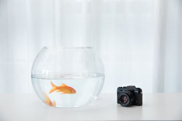 索一魚缸屬于什么檔次：索一魚缸與其他品牌對(duì)比，索一魚缸適合哪種消費(fèi)群體