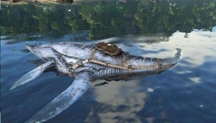 粗線和龍魚混養的結果顯示粗線和龍魚混養的結果：關于粗線魚和龍魚混養的問題