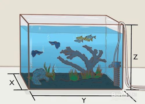 小學(xué)一年級數(shù)學(xué)題魚缸和魚，小學(xué)一年級數(shù)學(xué)題摘要：魚缸容積、計(jì)算魚的數(shù)量以及理解