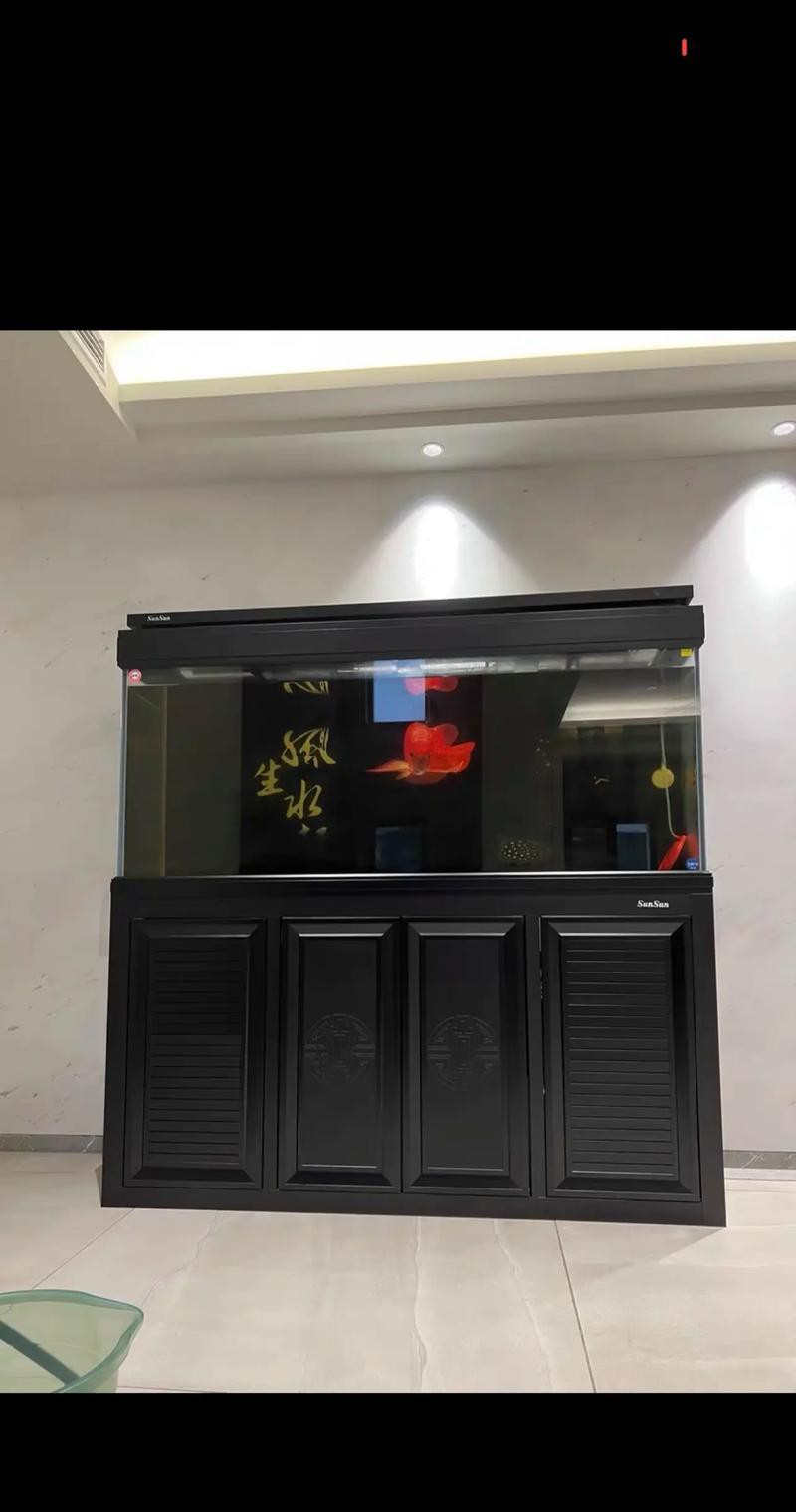 養(yǎng)金龍魚(yú)魚(yú)缸背景用什么顏色好看