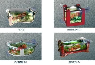 亮點(diǎn)水族魚缸售后服務(wù)：亮點(diǎn)水族魚缸售后常見問題解答亮點(diǎn)水族魚缸售后服務(wù)