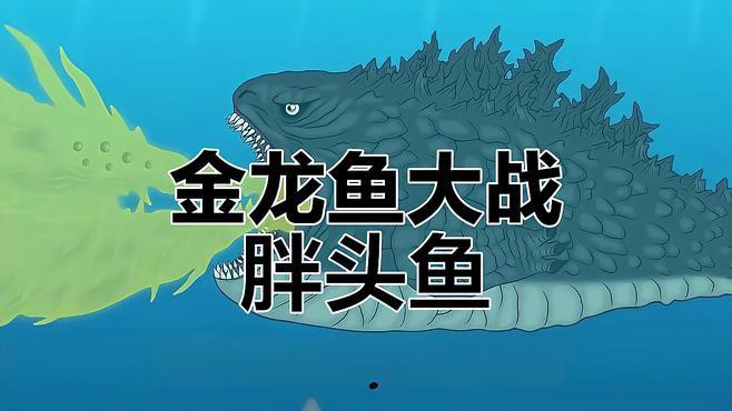 金龍魚對手