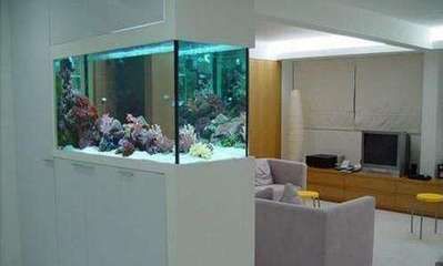 魚缸放玉：魚缸放玉是一種傳統的風水實踐