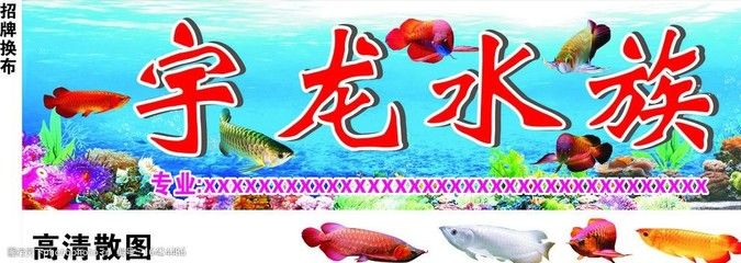 金龍魚招牌圖案，金龍魚招牌圖案在中國文化中是吉祥的象征