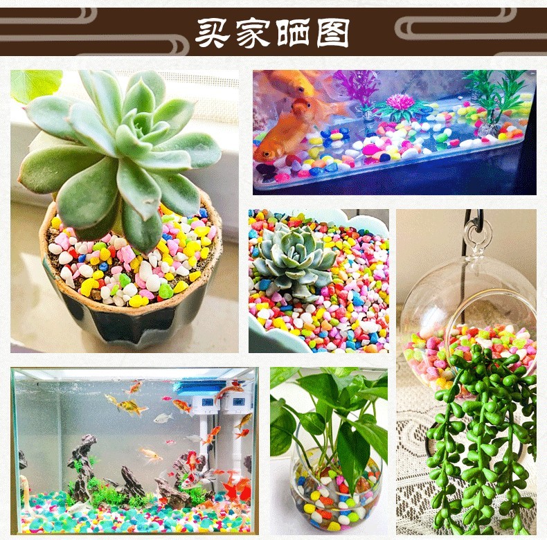 魚缸里的彩石是怎么染色的：彩石對魚缸水質的影響 魚缸里的彩石是怎么染色的：彩石對魚缸水質的影響 魚缸百科 第2張