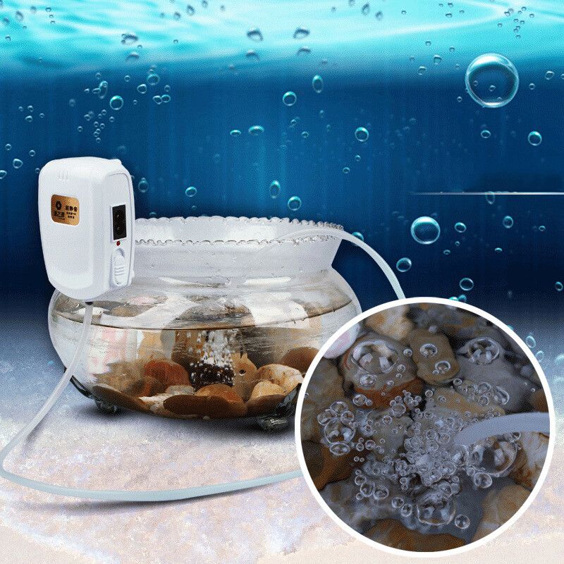 魚缸增氧泵怎么不冒泡也不響呢（魚缸增氧泵怎么不冒泡） 魚缸增氧泵怎么不冒泡也不響呢（魚缸增氧泵怎么不冒泡） 魚缸百科 第3張