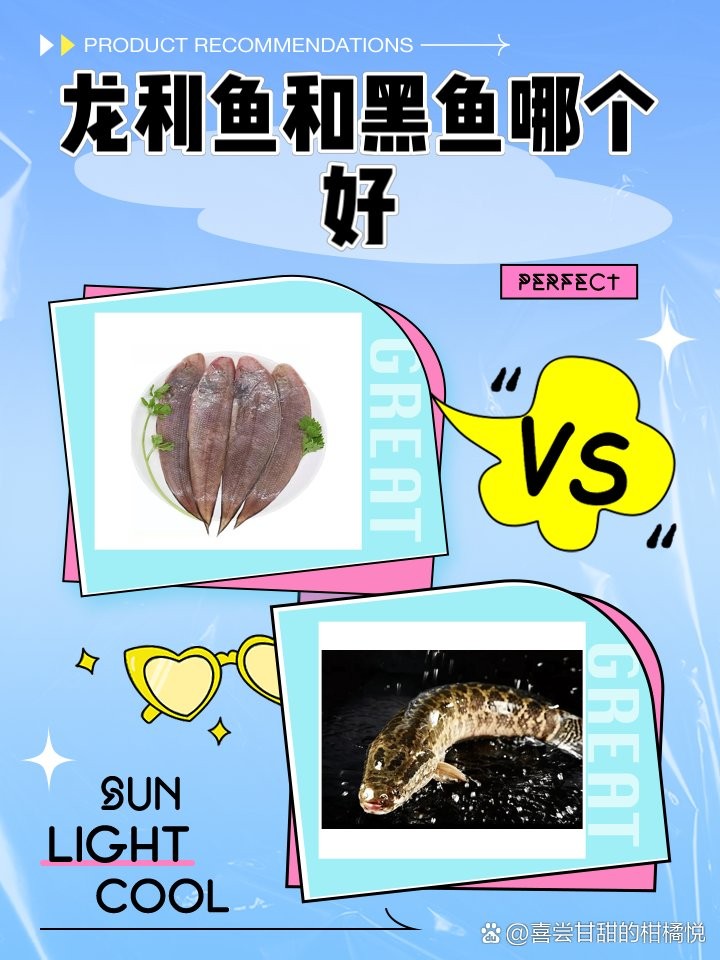 龍利魚和黑魚哪個更適合清蒸？