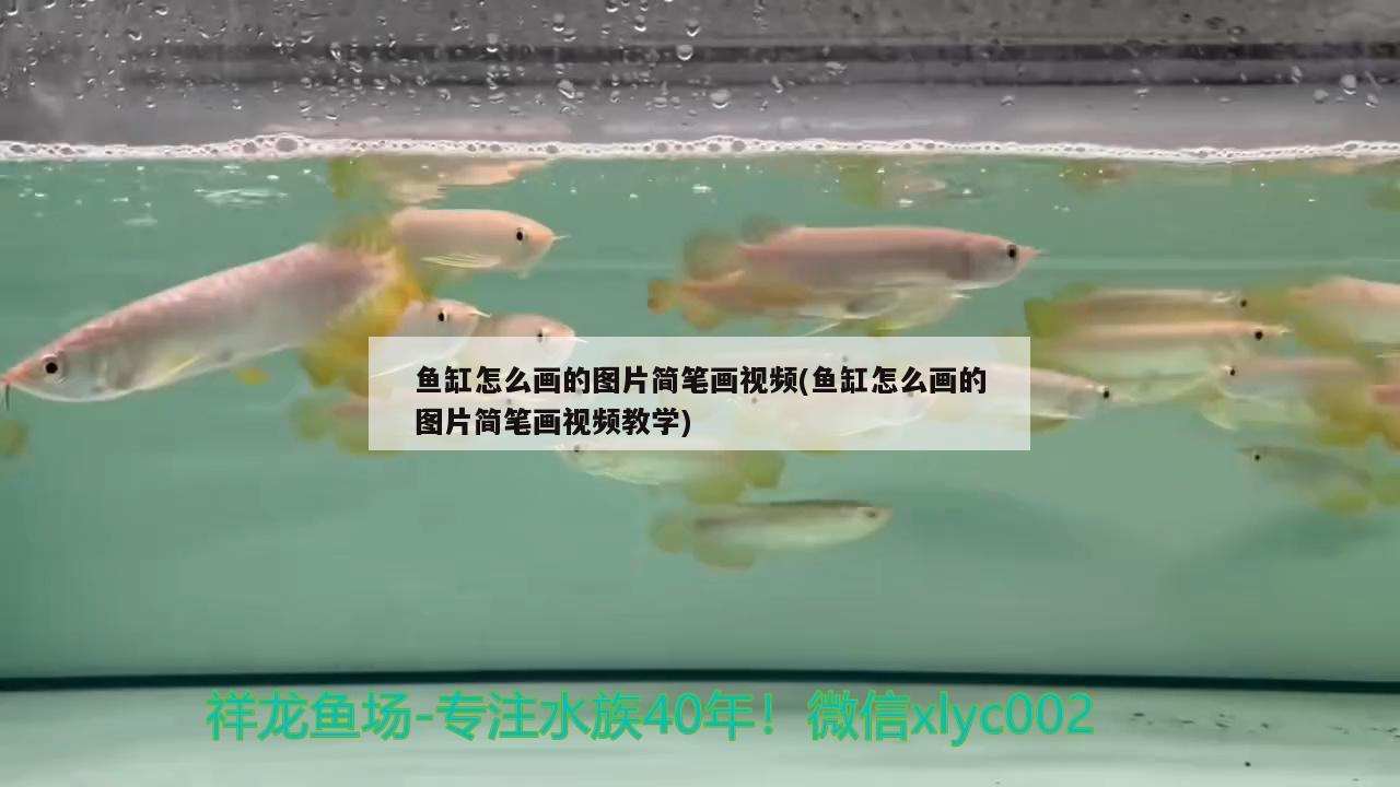 魚缸怎么畫的圖片簡筆畫視頻(魚缸怎么畫的圖片簡筆畫視頻教學)