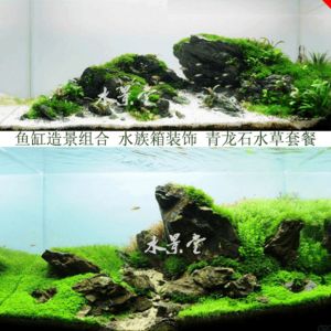 海水景觀魚缸設計資料：尋找海水景觀魚缸設計圖的重要性及其獲取途徑