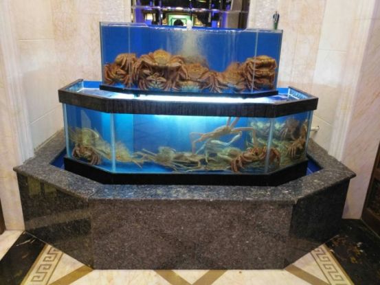 海水景觀魚缸設計資料：尋找海水景觀魚缸設計圖的重要性及其獲取途徑