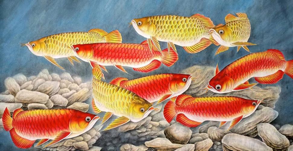 工筆金龍魚的圖片欣賞