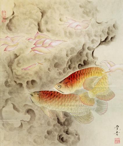 工筆金龍魚的圖片欣賞